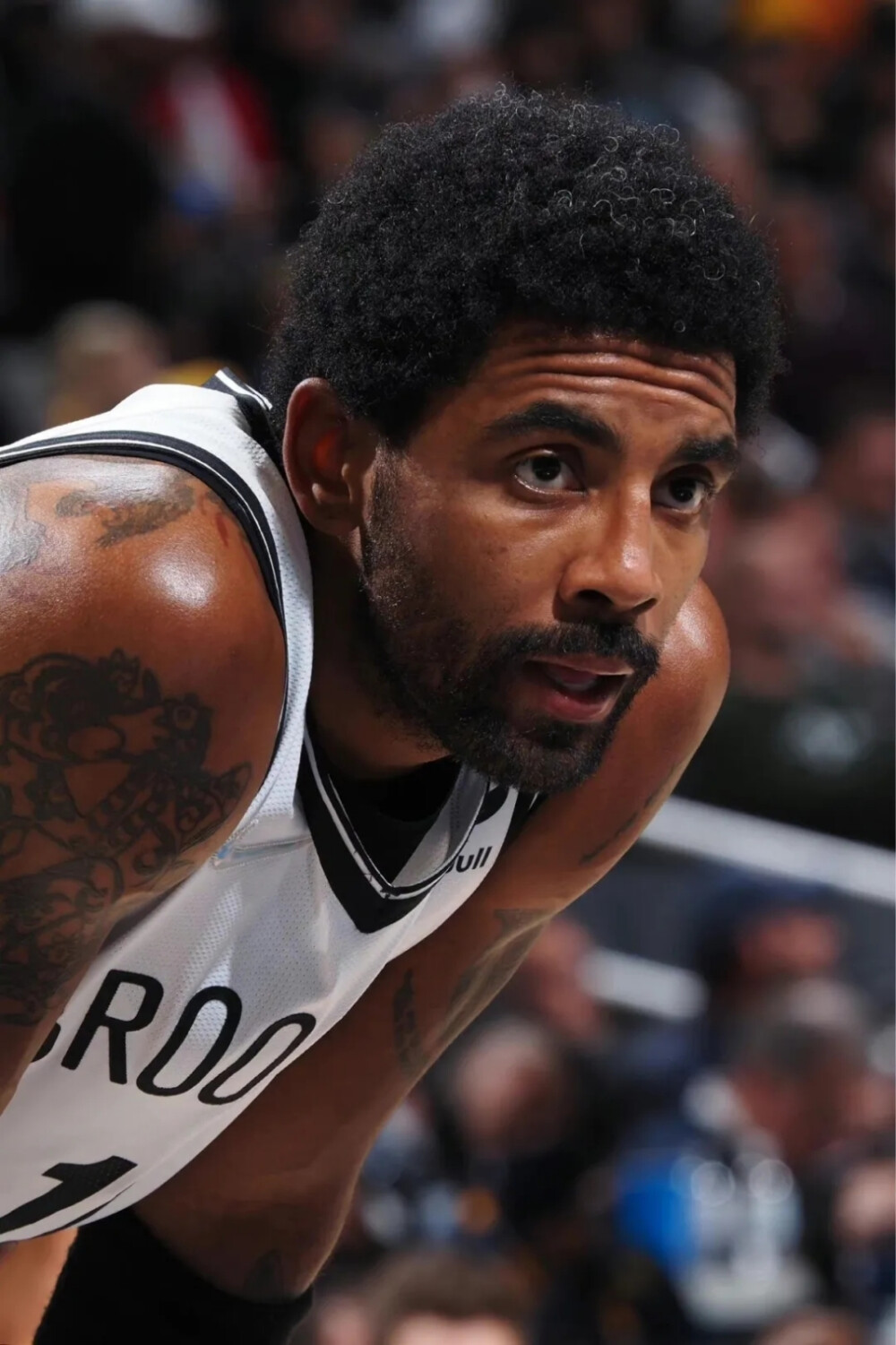 包括状元秀 包括状元秀