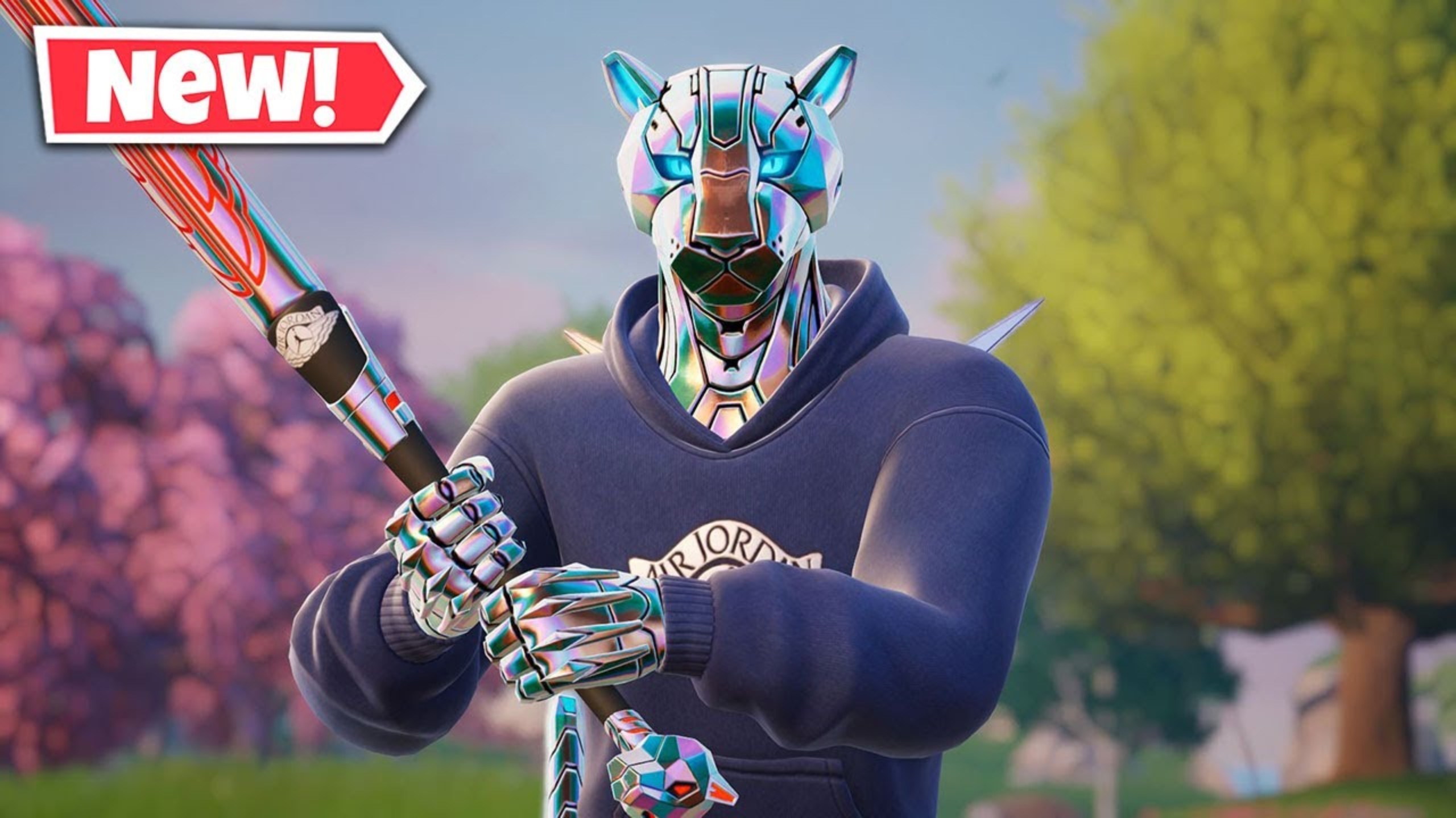 阵容补强的 阵容补强的