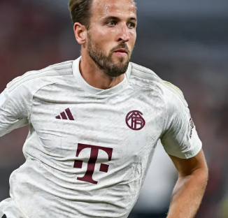 名球员的归 名球员的归