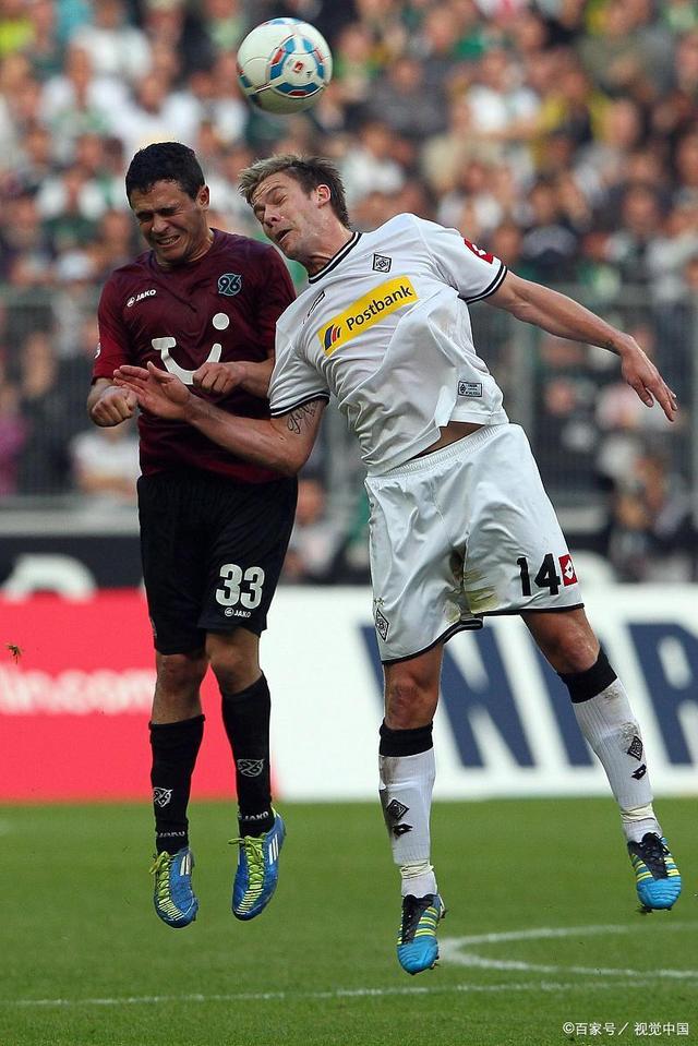 球队的整体 球队的整体